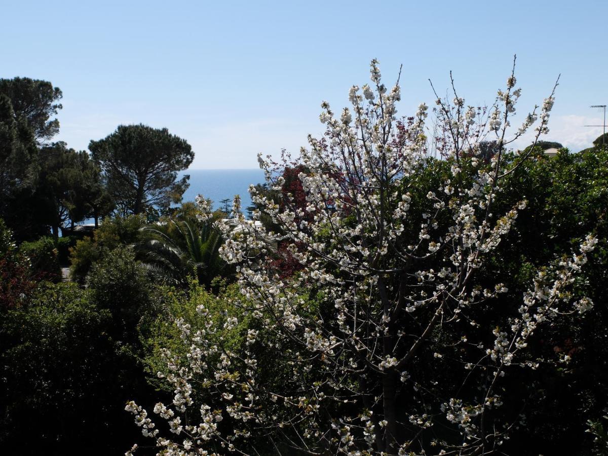 B&B Verde Sul Mare Arenzano Exterior photo